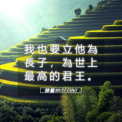 Picture 05 - 詩 篇 89:27 CUVT - 我 也 要 立 他 為 長 子 ， 為 世 上 - Bible Verse Picture