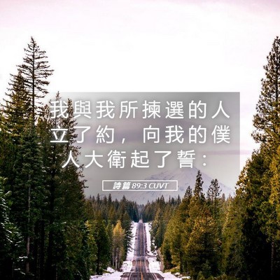 Picture 05 - 詩 篇 89:3 CUVT - 我 與 我 所 揀 選 的 人 立 了 約 ， - Bible Verse Picture
