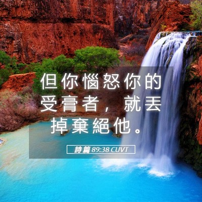 Picture 05 - 詩 篇 89:38 CUVT - 但 你 惱 怒 你 的 受 膏 者 ， 就 丟 - Bible Verse Picture