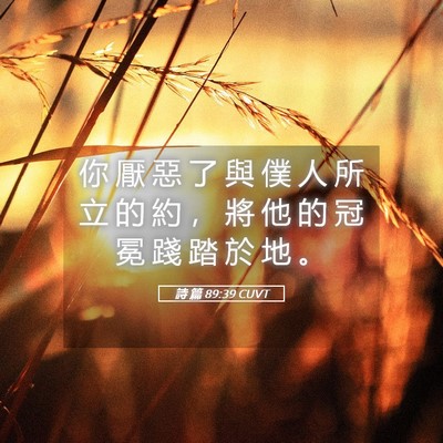 Picture 05 - 詩 篇 89:39 CUVT - 你 厭 惡 了 與 僕 人 所 立 的 約 ， - Bible Verse Picture