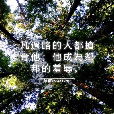 Picture 05 - 詩 篇 89:41 CUVT - 凡 過 路 的 人 都 搶 奪 他 ； 他 成 - Bible Verse Picture