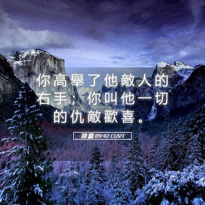 Picture 05 - 詩 篇 89:42 CUVT - 你 高 舉 了 他 敵 人 的 右 手 ； 你 - Bible Verse Picture