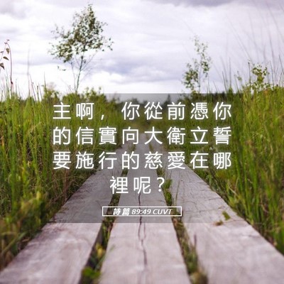 Picture 05 - 詩 篇 89:49 CUVT - 主 啊 ， 你 從 前 憑 你 的 信 實 向 - Bible Verse Picture