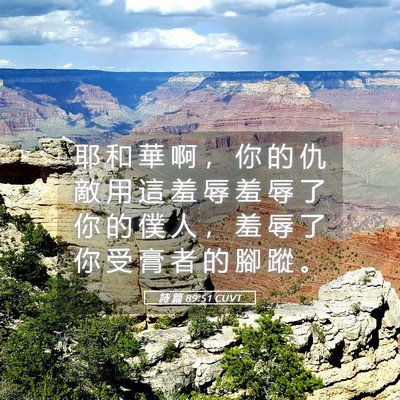 Picture 05 - 詩 篇 89:51 CUVT - 耶 和 華 啊 ， 你 的 仇 敵 用 這 羞 - Bible Verse Picture