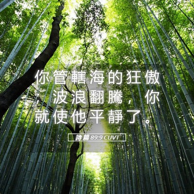 Picture 05 - 詩 篇 89:9 CUVT - 你 管 轄 海 的 狂 傲 ； 波 浪 翻 騰 - Bible Verse Picture