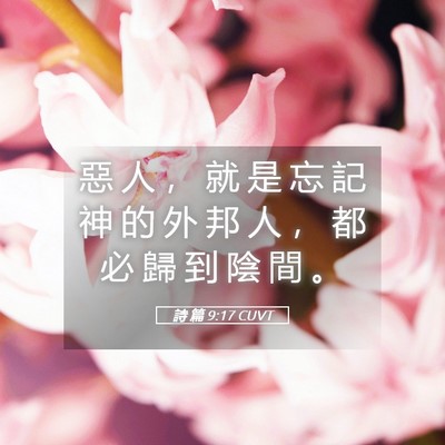 Picture 05 - 詩 篇 9:17 CUVT - 惡 人 ， 就 是 忘 記 神 的 外 邦 人 - Bible Verse Picture
