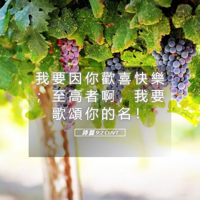 Picture 05 - 詩 篇 9:2 CUVT - 我 要 因 你 歡 喜 快 樂 ； 至 高 者 - Bible Verse Picture