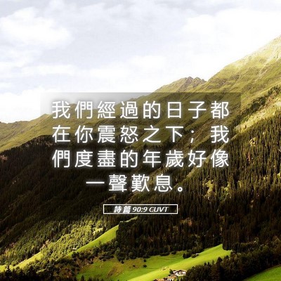 Picture 05 - 詩 篇 90:9 CUVT - 我 們 經 過 的 日 子 都 在 你 震 怒 - Bible Verse Picture