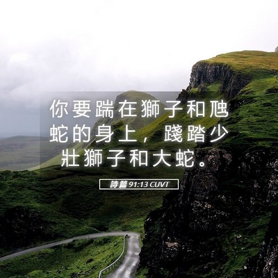 Picture 05 - 詩 篇 91:13 CUVT - 你 要 踹 在 獅 子 和 虺 蛇 的 身 上 - Bible Verse Picture