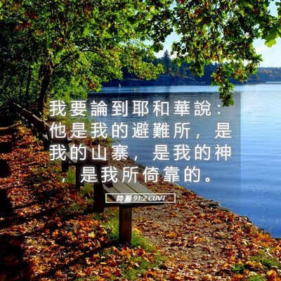 Picture 05 - 詩 篇 91:2 CUVT - 我 要 論 到 耶 和 華 說 ： 他 是 我 - Bible Verse Picture