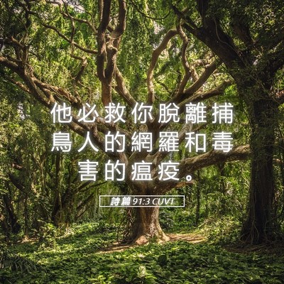 Picture 05 - 詩 篇 91:3 CUVT - 他 必 救 你 脫 離 捕 鳥 人 的 網 羅 - Bible Verse Picture