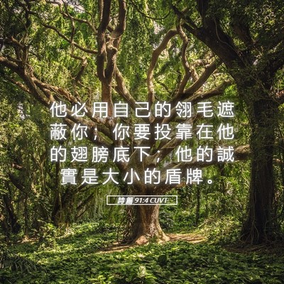 Picture 05 - 詩 篇 91:4 CUVT - 他 必 用 自 己 的 翎 毛 遮 蔽 你 ； - Bible Verse Picture
