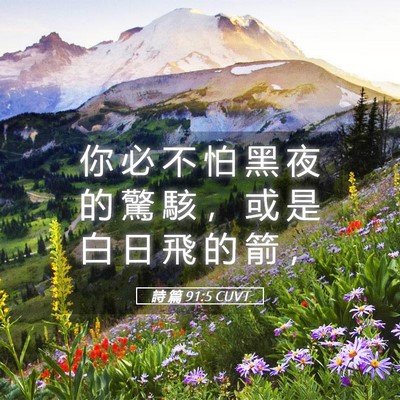 Picture 05 - 詩 篇 91:5 CUVT - 你 必 不 怕 黑 夜 的 驚 駭 ， 或 是 - Bible Verse Picture