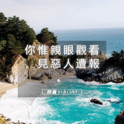 Picture 05 - 詩 篇 91:8 CUVT - 你 惟 親 眼 觀 看 ， 見 惡 人 遭 報 - Bible Verse Picture