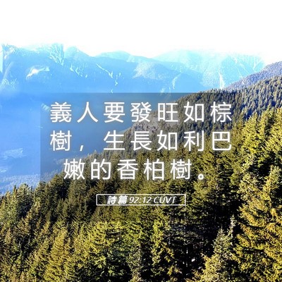 Picture 05 - 詩 篇 92:12 CUVT - 義 人 要 發 旺 如 棕 樹 ， 生 長 如 - Bible Verse Picture