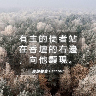 Picture 05 - 路 加 福 音 1:11 CUVT - 有 主 的 使 者 站 在 香 壇 的 右 邊 - Bible Verse Picture
