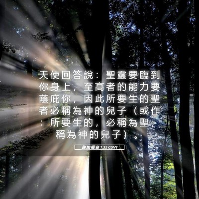 Picture 05 - 路 加 福 音 1:35 CUVT - 天 使 回 答 說 ： 聖 靈 要 臨 到 你 - Bible Verse Picture