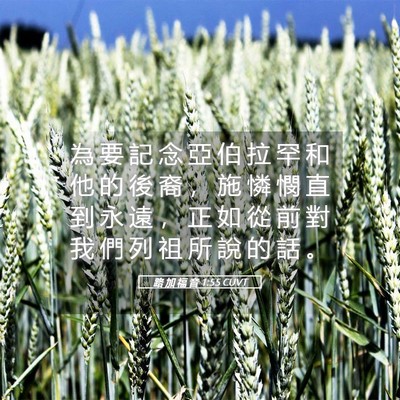 Picture 05 - 路 加 福 音 1:55 CUVT - 為 要 記 念 亞 伯 拉 罕 和 他 的 後 - Bible Verse Picture