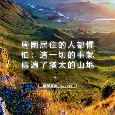 Picture 05 - 路 加 福 音 1:65 CUVT - 周 圍 居 住 的 人 都 懼 怕 ； 這 一 - Bible Verse Picture