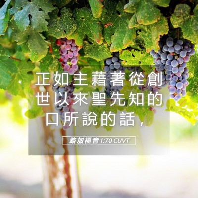 Picture 05 - 路 加 福 音 1:70 CUVT - 正 如 主 藉 著 從 創 世 以 來 聖 先 - Bible Verse Picture