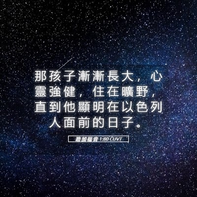 Picture 05 - 路 加 福 音 1:80 CUVT - 那 孩 子 漸 漸 長 大 ， 心 靈 強 健 - Bible Verse Picture