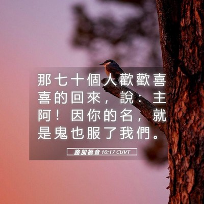 Picture 05 - 路 加 福 音 10:17 CUVT - 那 七 十 個 人 歡 歡 喜 喜 的 回 來 - Bible Verse Picture