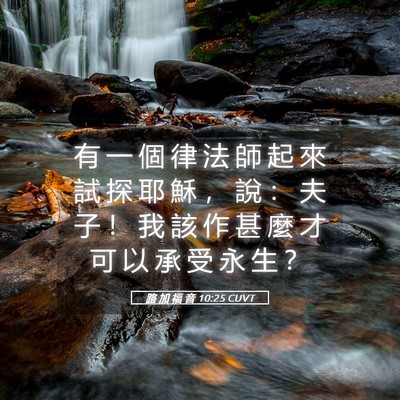 Picture 05 - 路 加 福 音 10:25 CUVT - 有 一 個 律 法 師 起 來 試 探 耶 穌 - Bible Verse Picture