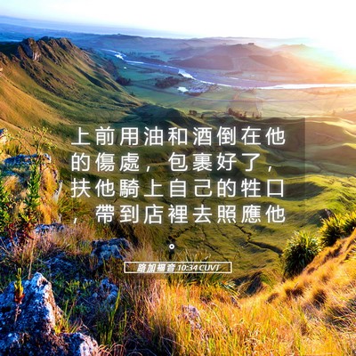 Picture 05 - 路 加 福 音 10:34 CUVT - 上 前 用 油 和 酒 倒 在 他 的 傷 處 - Bible Verse Picture
