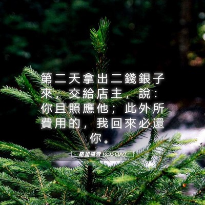 Picture 05 - 路 加 福 音 10:35 CUVT - 第 二 天 拿 出 二 錢 銀 子 來 ， 交 - Bible Verse Picture