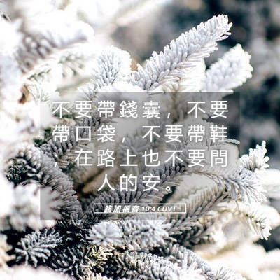 Picture 05 - 路 加 福 音 10:4 CUVT - 不 要 帶 錢 囊 ， 不 要 帶 口 袋 ， - Bible Verse Picture