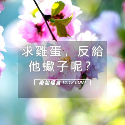 Picture 05 - 路 加 福 音 11:12 CUVT - 求 雞 蛋 ， 反 給 他 蠍 子 呢 - Bible Verse Picture