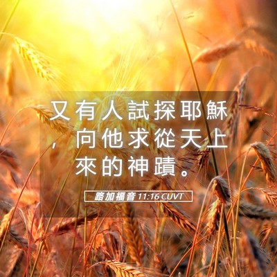 Picture 05 - 路 加 福 音 11:16 CUVT - 又 有 人 試 探 耶 穌 ， 向 他 求 從 - Bible Verse Picture
