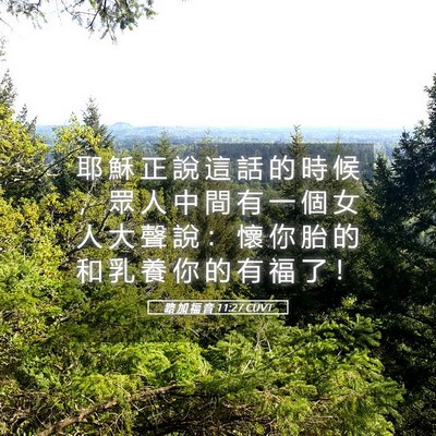 Picture 05 - 路 加 福 音 11:27 CUVT - 耶 穌 正 說 這 話 的 時 候 ， 眾 人 - Bible Verse Picture