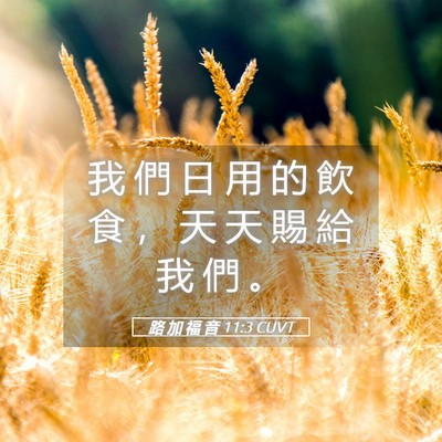 Picture 05 - 路 加 福 音 11:3 CUVT - 我 們 日 用 的 飲 食 ， 天 天 賜 給 - Bible Verse Picture