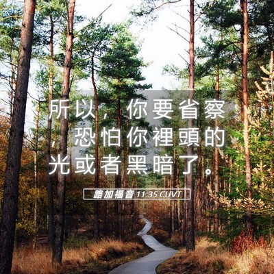 Picture 05 - 路 加 福 音 11:35 CUVT - 所 以 ， 你 要 省 察 ， 恐 怕 你 裡 - Bible Verse Picture
