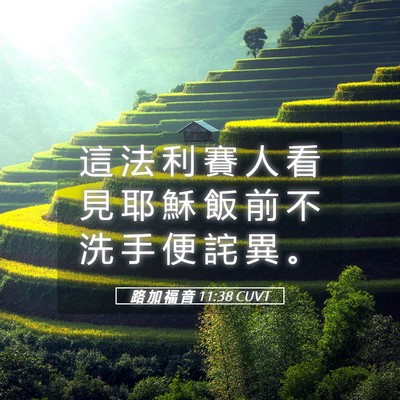 Picture 05 - 路 加 福 音 11:38 CUVT - 這 法 利 賽 人 看 見 耶 穌 飯 前 不 - Bible Verse Picture