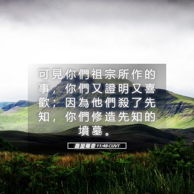Picture 05 - 路 加 福 音 11:48 CUVT - 可 見 你 們 祖 宗 所 作 的 事 ， 你 - Bible Verse Picture
