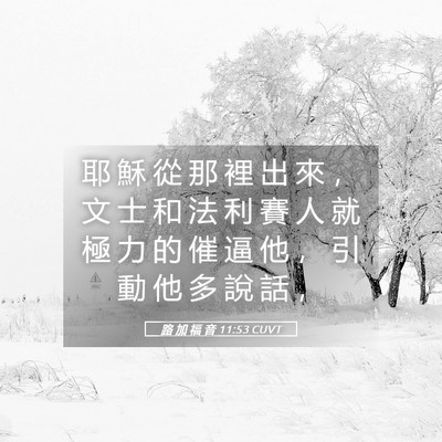 Picture 05 - 路 加 福 音 11:53 CUVT - 耶 穌 從 那 裡 出 來 ， 文 士 和 法 - Bible Verse Picture