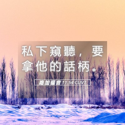 Picture 05 - 路 加 福 音 11:54 CUVT - 私 下 窺 聽 ， 要 拿 他 的 話 柄 - Bible Verse Picture