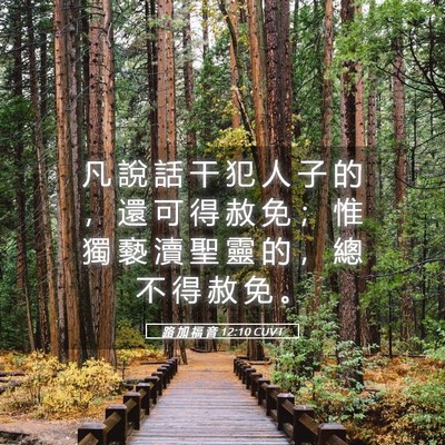 Picture 05 - 路 加 福 音 12:10 CUVT - 凡 說 話 干 犯 人 子 的 ， 還 可 得 - Bible Verse Picture
