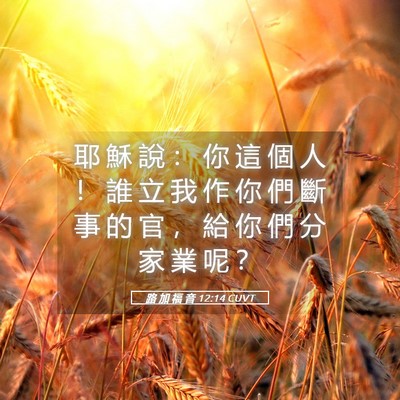 Picture 05 - 路 加 福 音 12:14 CUVT - 耶 穌 說 ： 你 這 個 人 ！ 誰 立 我 - Bible Verse Picture