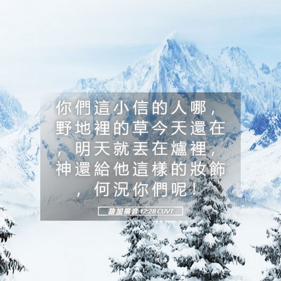 Picture 05 - 路 加 福 音 12:28 CUVT - 你 們 這 小 信 的 人 哪 ， 野 地 裡 - Bible Verse Picture