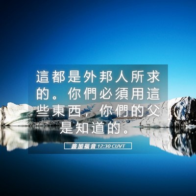 Picture 05 - 路 加 福 音 12:30 CUVT - 這 都 是 外 邦 人 所 求 的 。 你 們 - Bible Verse Picture