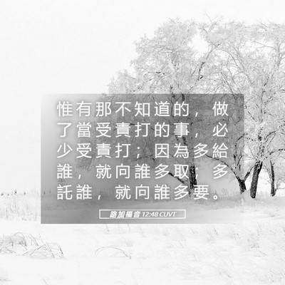 Picture 05 - 路 加 福 音 12:48 CUVT - 惟 有 那 不 知 道 的 ， 做 了 當 受 - Bible Verse Picture