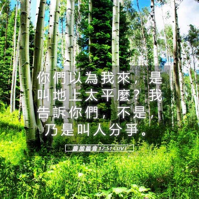 Picture 05 - 路 加 福 音 12:51 CUVT - 你 們 以 為 我 來 ， 是 叫 地 上 太 - Bible Verse Picture
