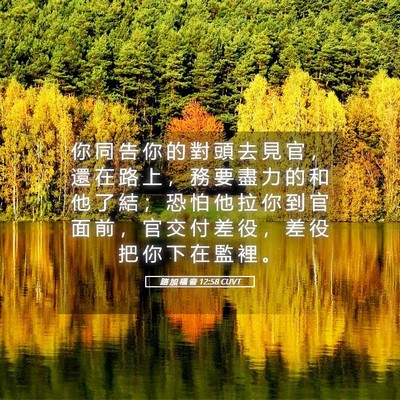 Picture 05 - 路 加 福 音 12:58 CUVT - 你 同 告 你 的 對 頭 去 見 官 ， 還 - Bible Verse Picture