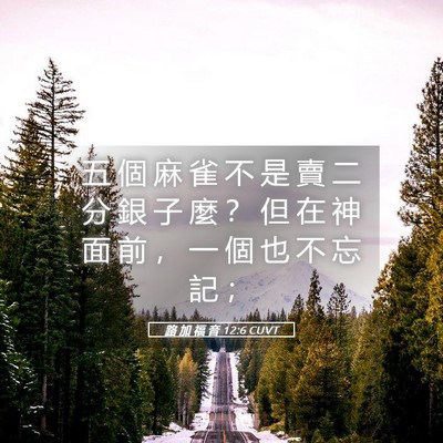 Picture 05 - 路 加 福 音 12:6 CUVT - 五 個 麻 雀 不 是 賣 二 分 銀 子 麼 - Bible Verse Picture