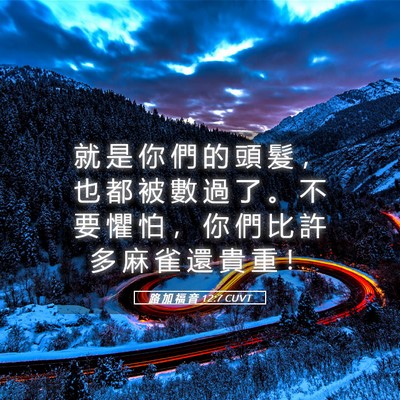 Picture 05 - 路 加 福 音 12:7 CUVT - 就 是 你 們 的 頭 髮 ， 也 都 被 數 - Bible Verse Picture