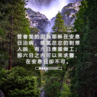 Picture 05 - 路 加 福 音 13:14 CUVT - 管 會 堂 的 因 為 耶 穌 在 安 息 日 - Bible Verse Picture