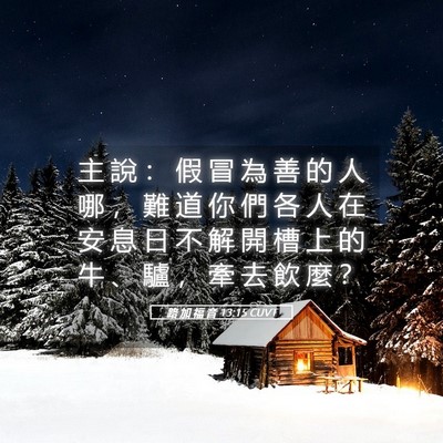 Picture 05 - 路 加 福 音 13:15 CUVT - 主 說 ： 假 冒 為 善 的 人 哪 ， 難 - Bible Verse Picture